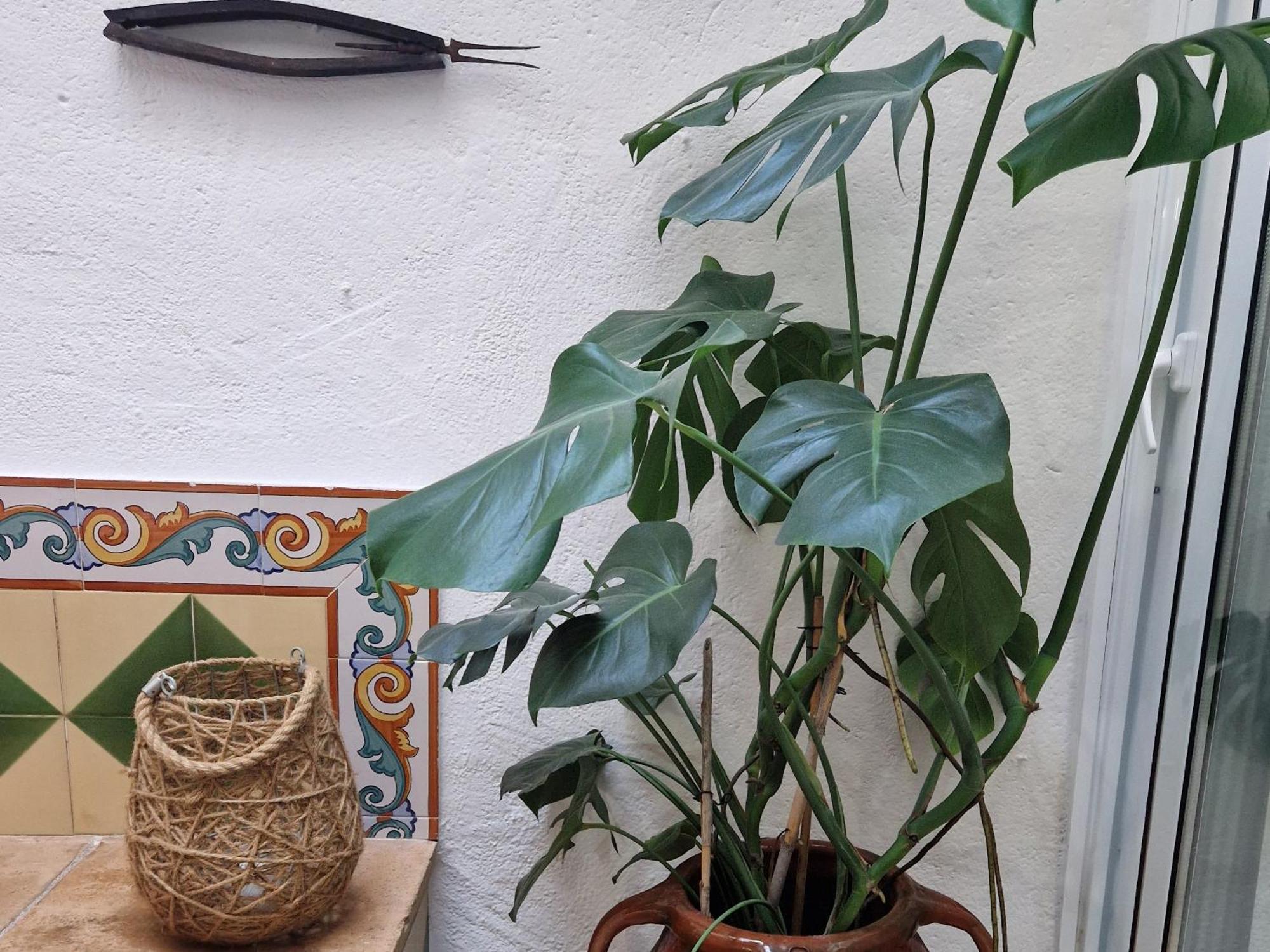 Ca La Teia Lägenhet Bellcaire d'Emporda Exteriör bild